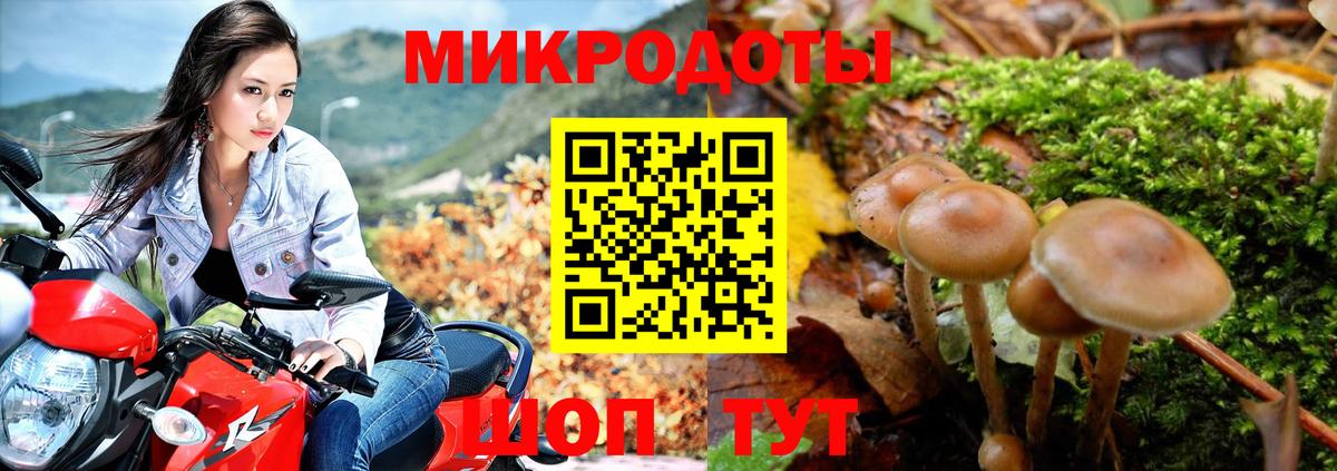 Губкин  Псилоцибиновые грибы Psilocybine cubensis  Галлюциногенные грибы MAGIC MUSHROOMS  где купить наркотик  Вход с VPN 